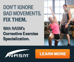 NASM CES