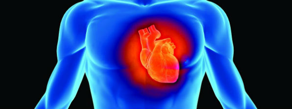 Explanation of how electrocardiograms (ECG's) work